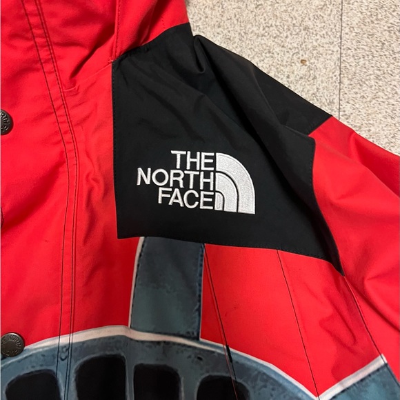 Supreme The North Face Statue of Liberty Jacket - Picture 5 of 7
